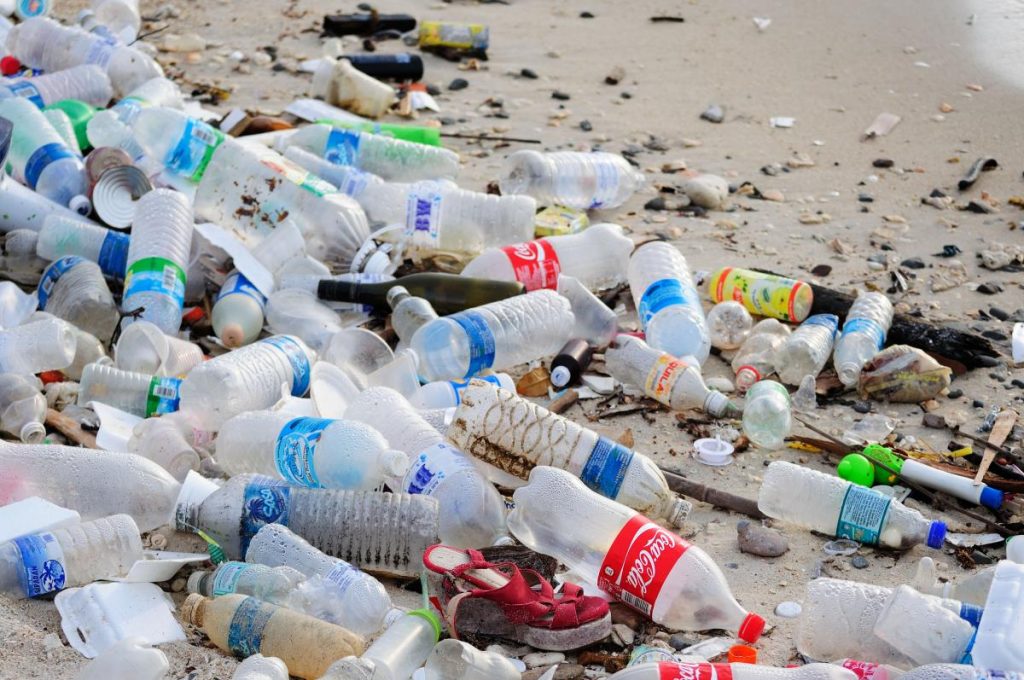 Environment: waste is wealth, its management necessary, says expert