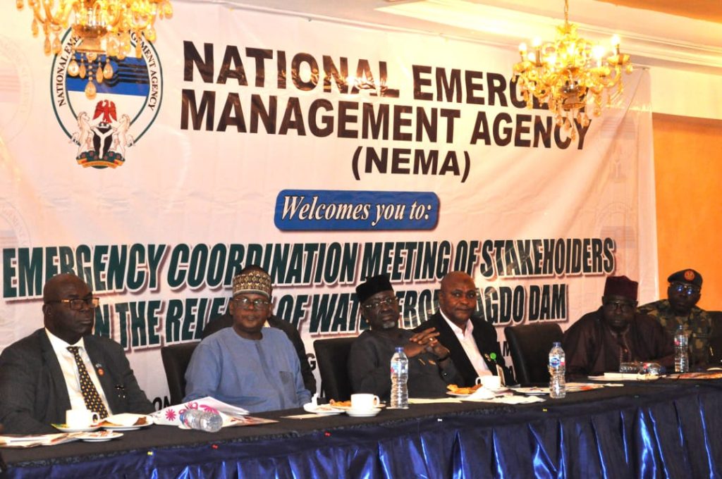 DG NEMA outlines action plan following release of water from Cameroonian Dam