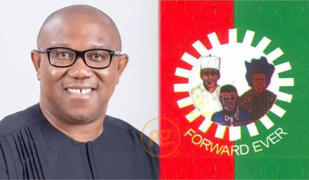 Court Rules Obi, LP Failed To Prove Tinubu Was Convicted In US Obi-Labour Party