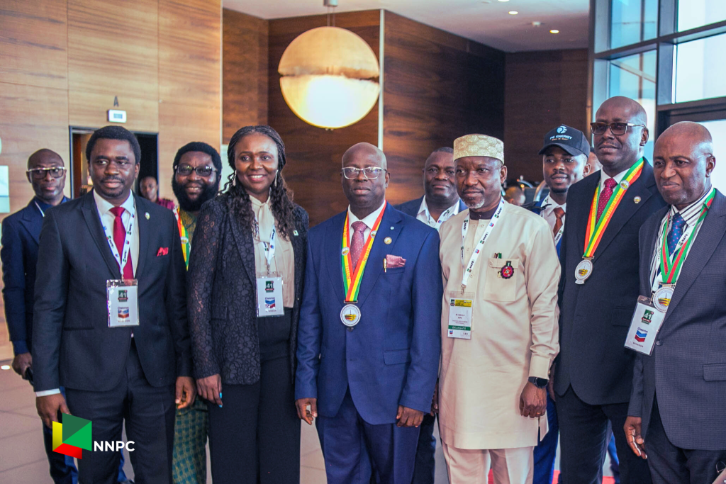 Kyari Calls for Adaptation to Changing Energy Landscape NNPCL-NAPE
