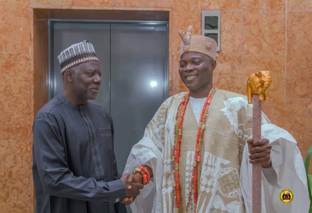 Oluwu-Bichi-DG DSS