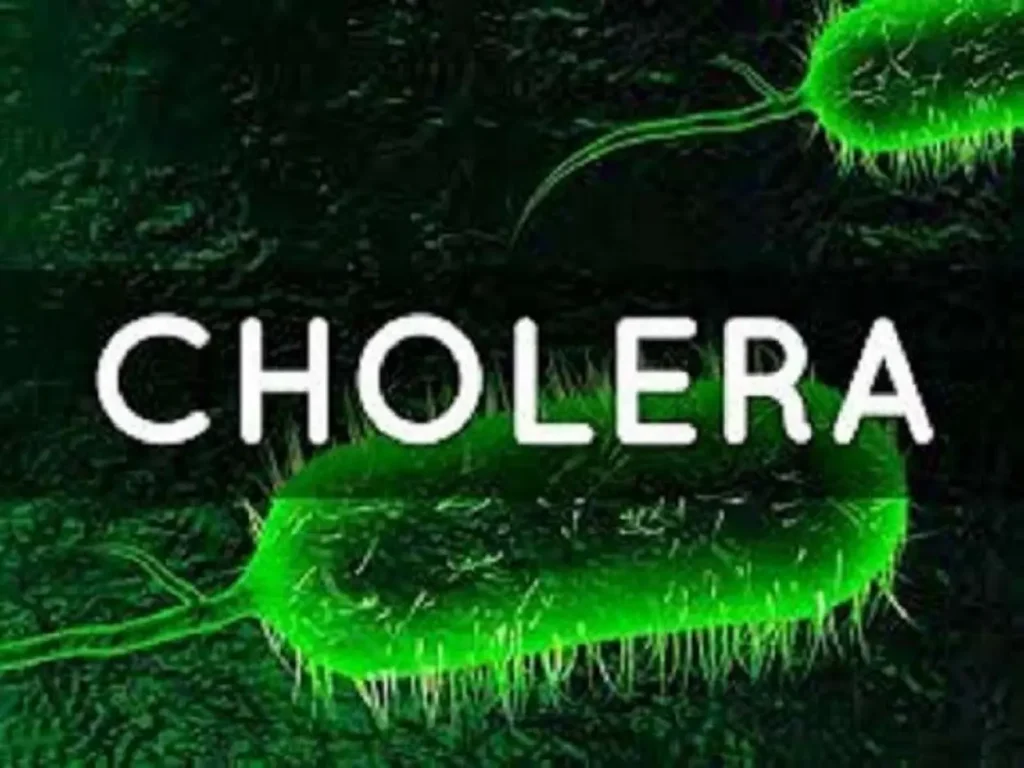 Cholera: Council urges creation of isolation centres in health facilities Cholera