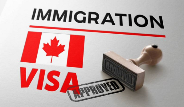Japa: Canada opens immigration pathways for skilled health workers Immigration-Canada-work-permits