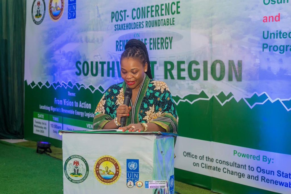Prof. Chinwe Obuaku-Igwe - DG Climate Change