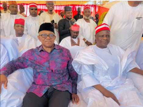 Obidient/Kwankwasiyya Courtship Shakes Table, By Ike Abonyi Obi-Kwakwanso