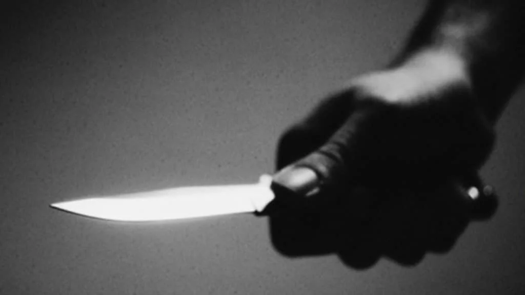 Freshers’ party turns fatal as student stabbed to death
