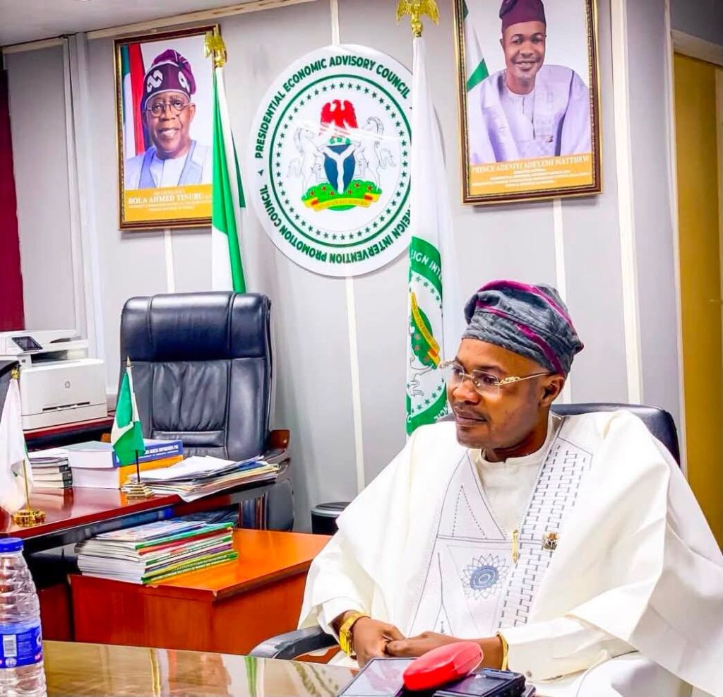The phantom presidential council scandal, by Farooq Kperogi Fake DG- Adeniyi Adeyemi Matthew