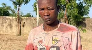 Troops Arrest Suspected ISWAP Member in Borno