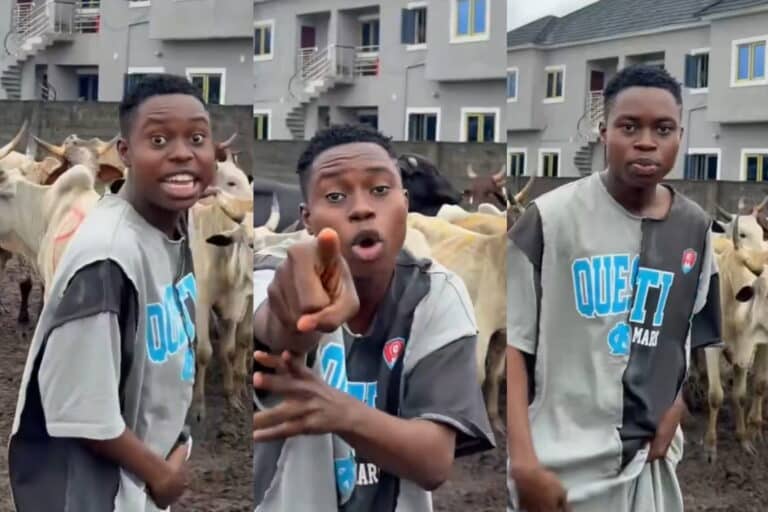 Peller Shows Off 12 Wedding Cows, Warns Uninvited Guests
